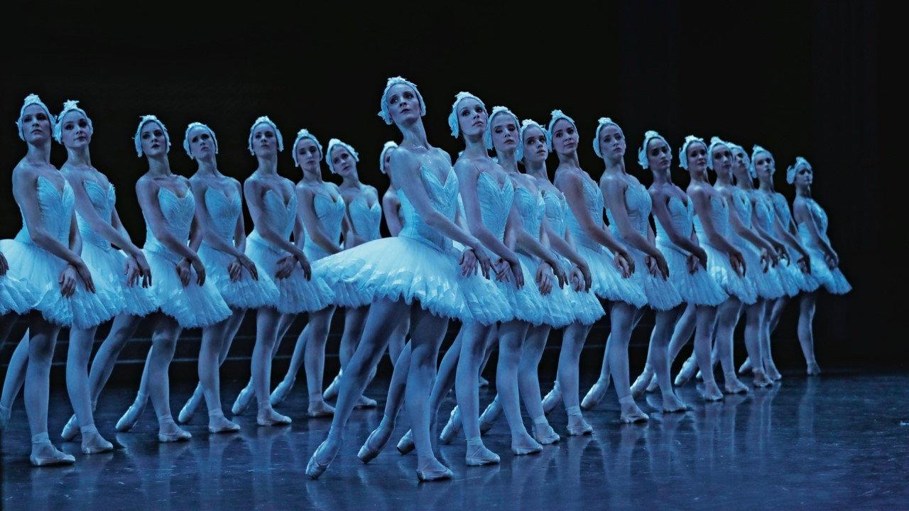 Le lac des cygnes au théâtre national de Chaillot backdrop