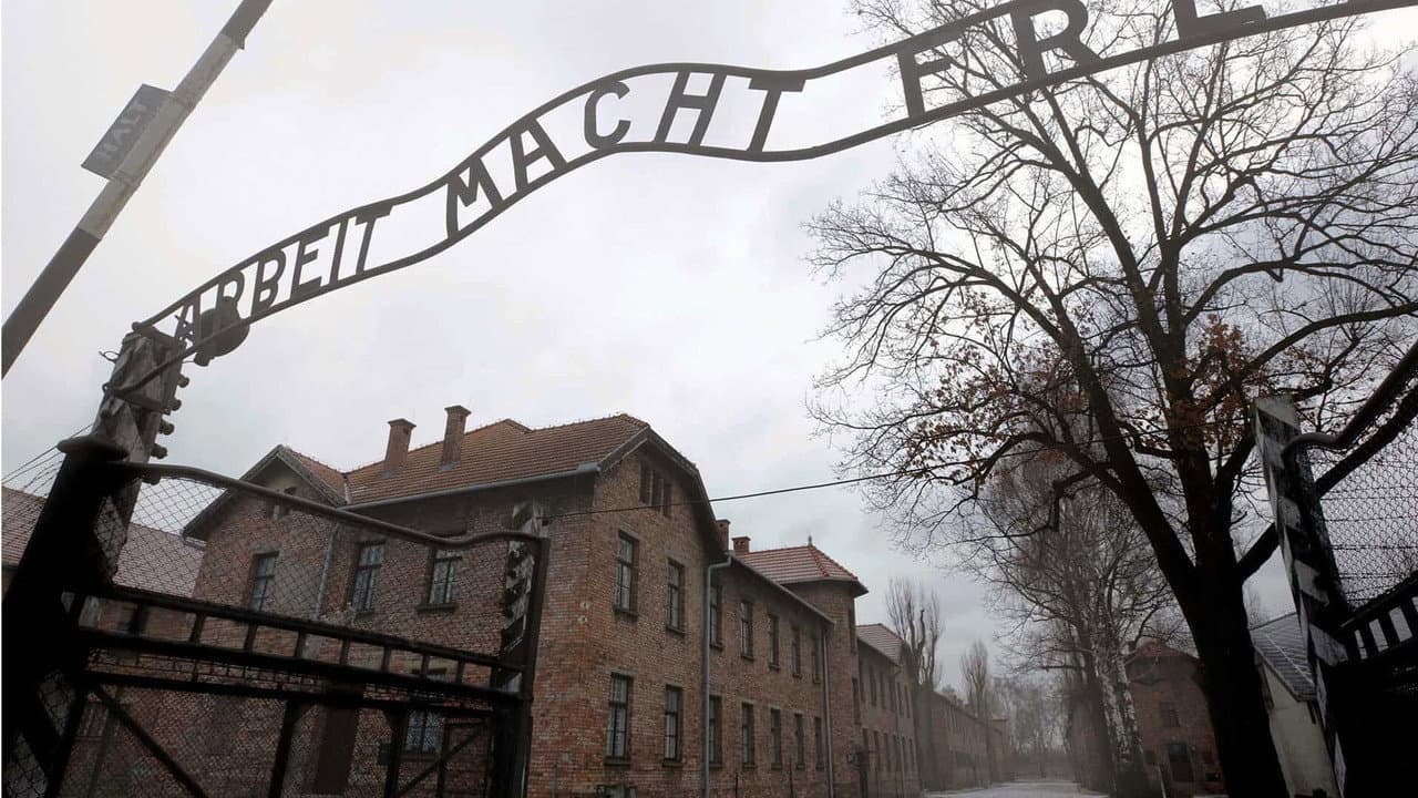 Auschwitz: Journey Into Hell backdrop