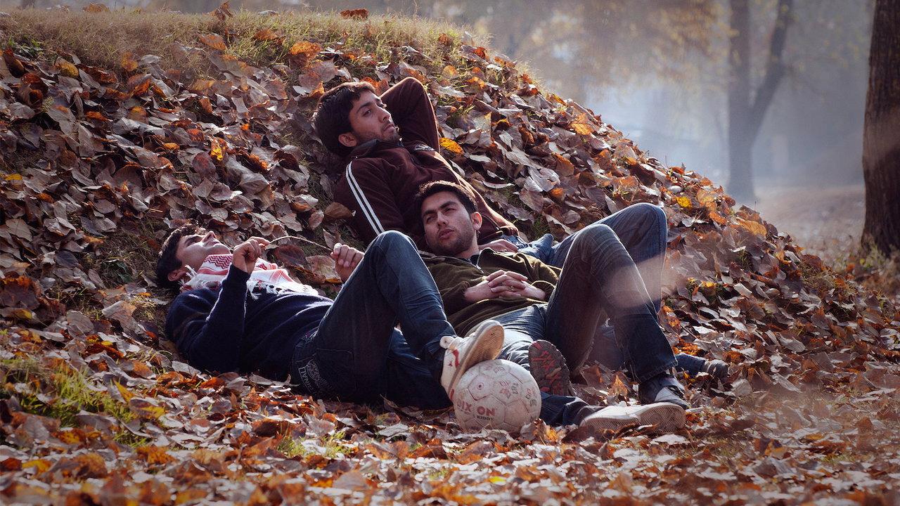 Autumn backdrop