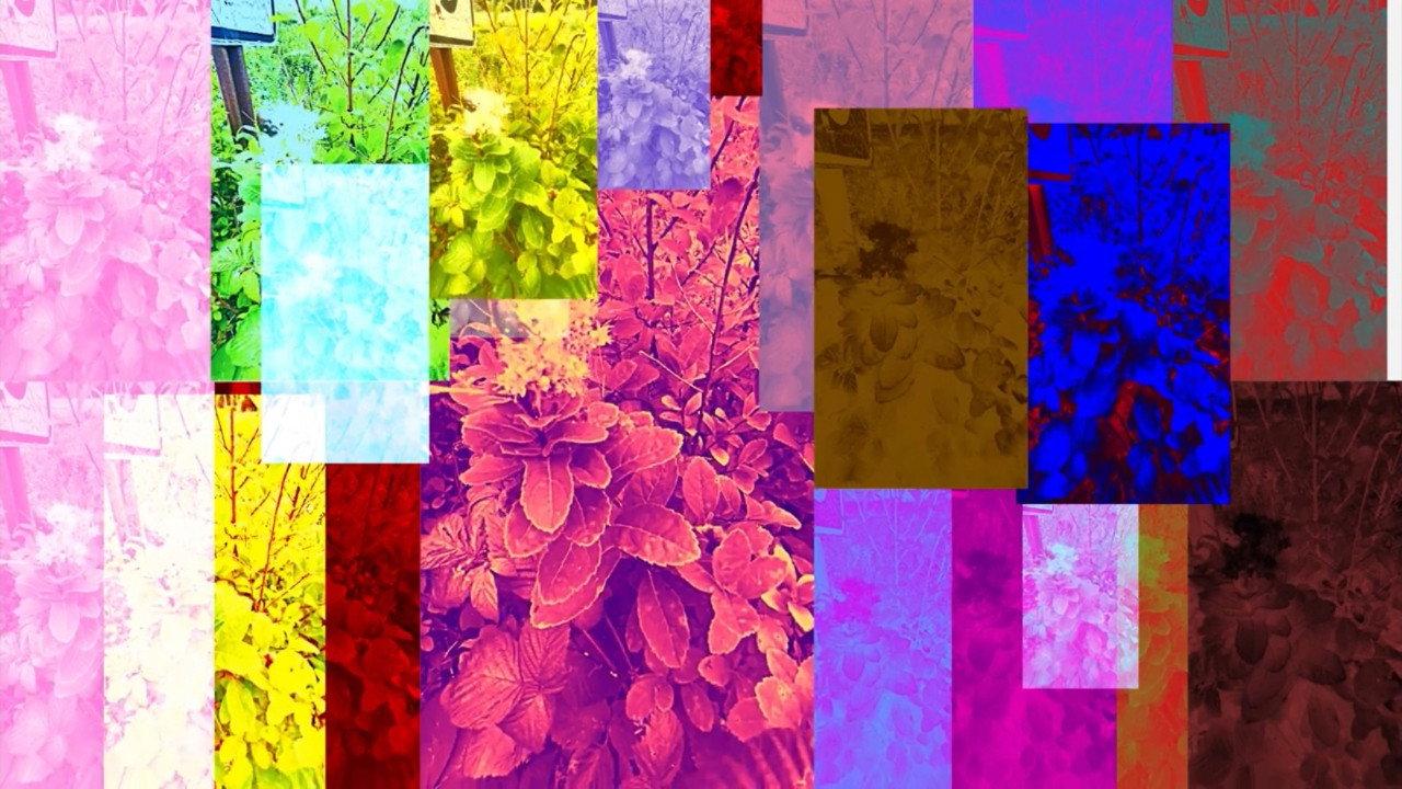 Forgotten Beauty backdrop