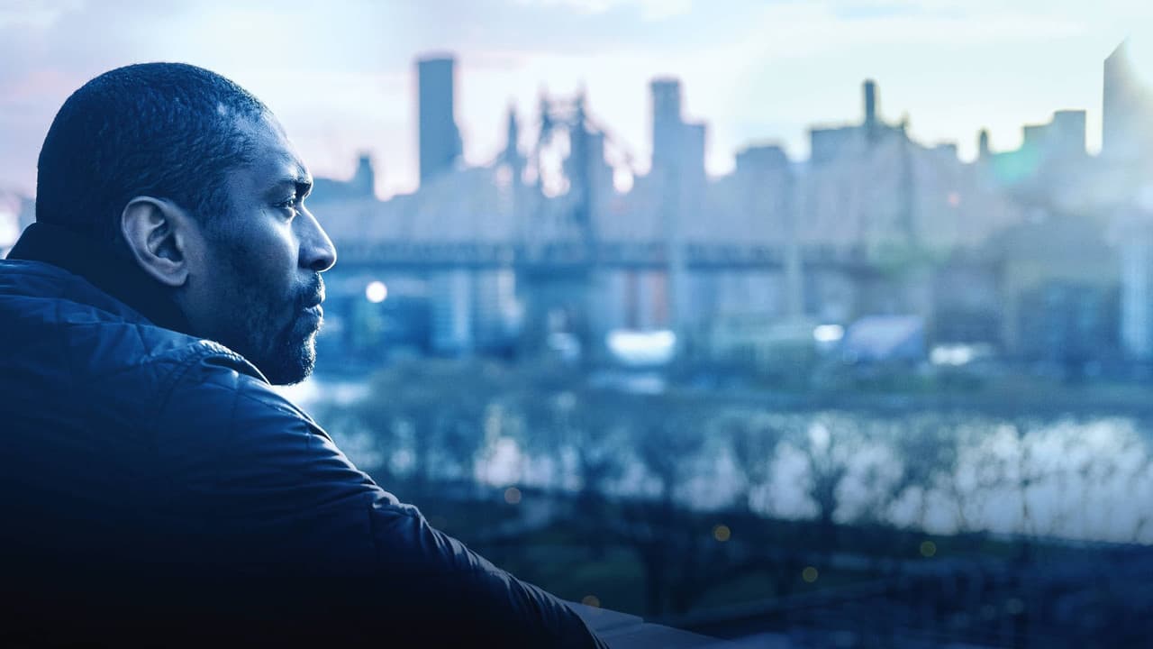 Quiet Storm: The Ron Artest Story backdrop