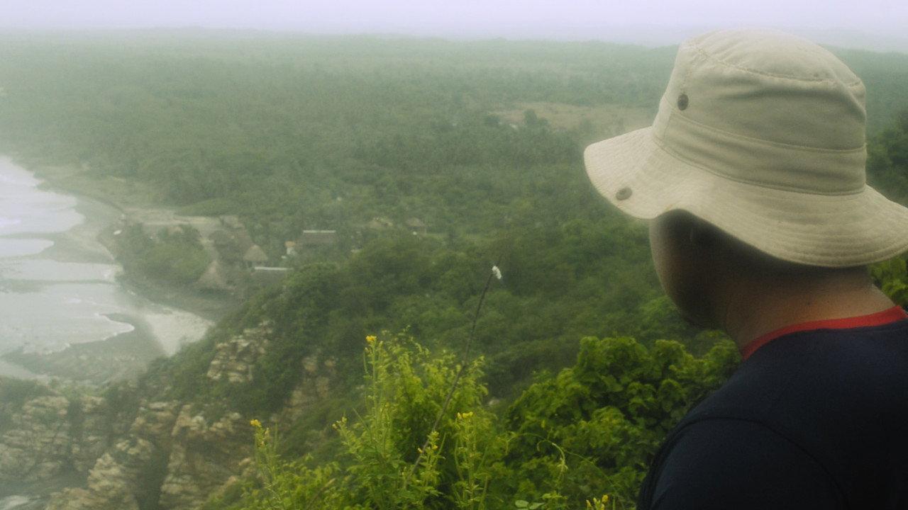 Guardianes del manglar backdrop