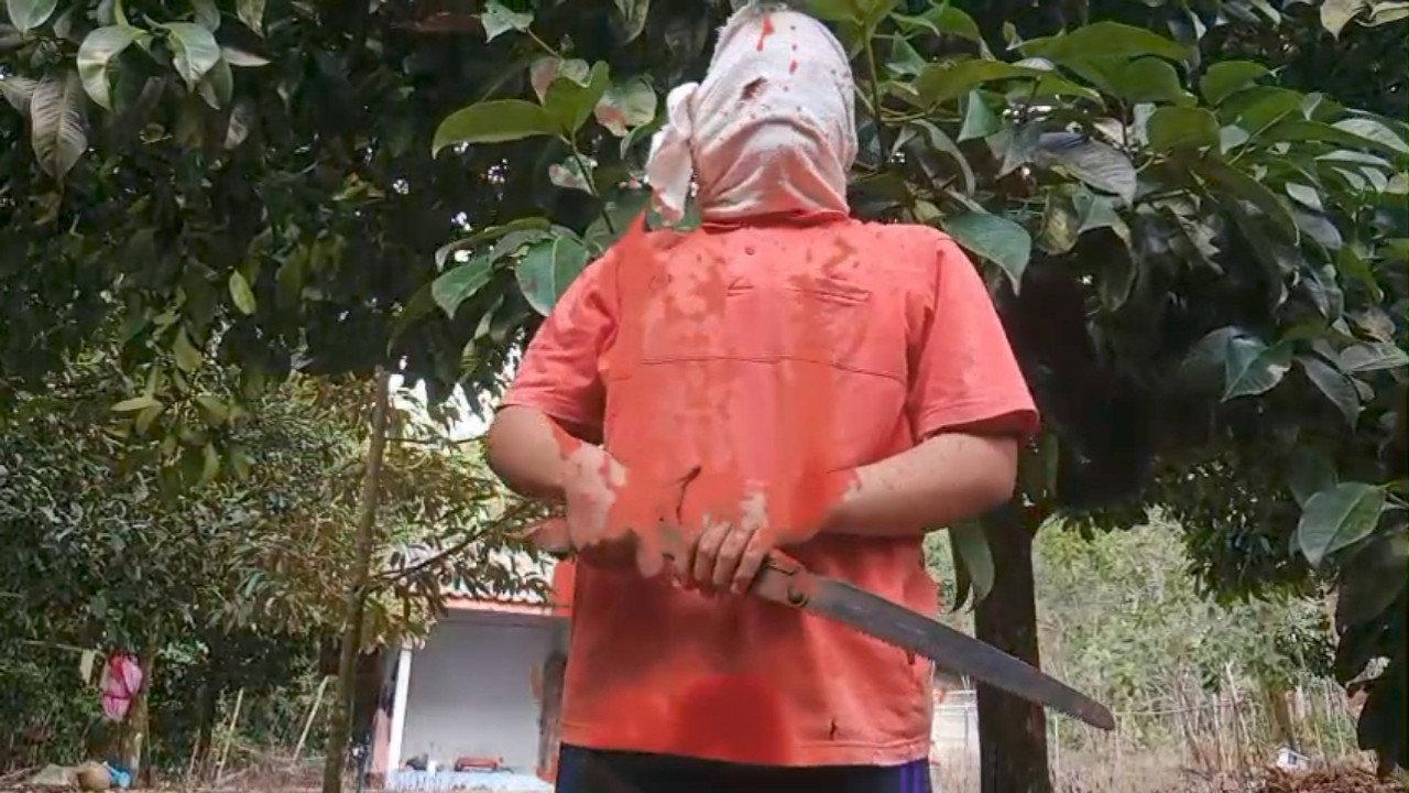 The handsaw murder backdrop