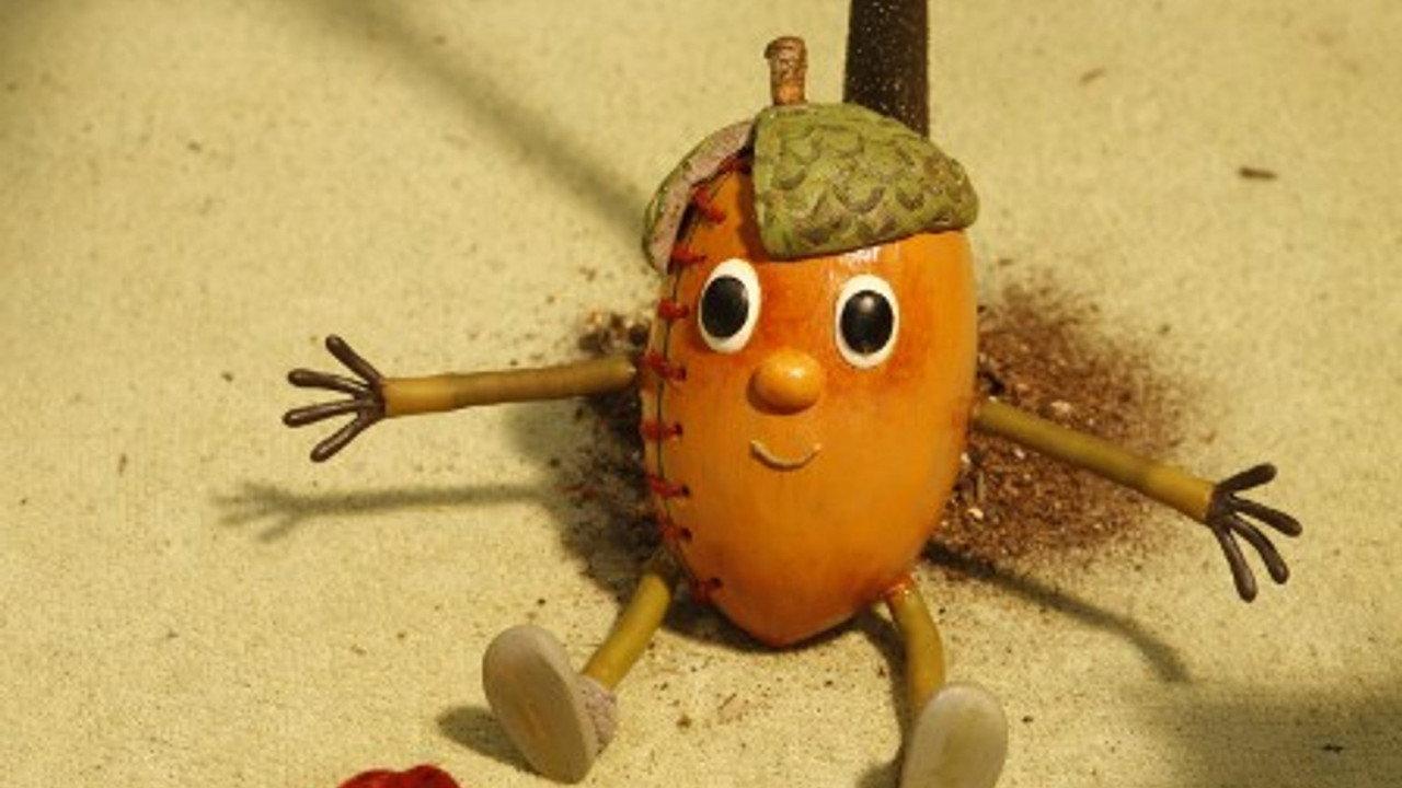 Acorn Boy backdrop
