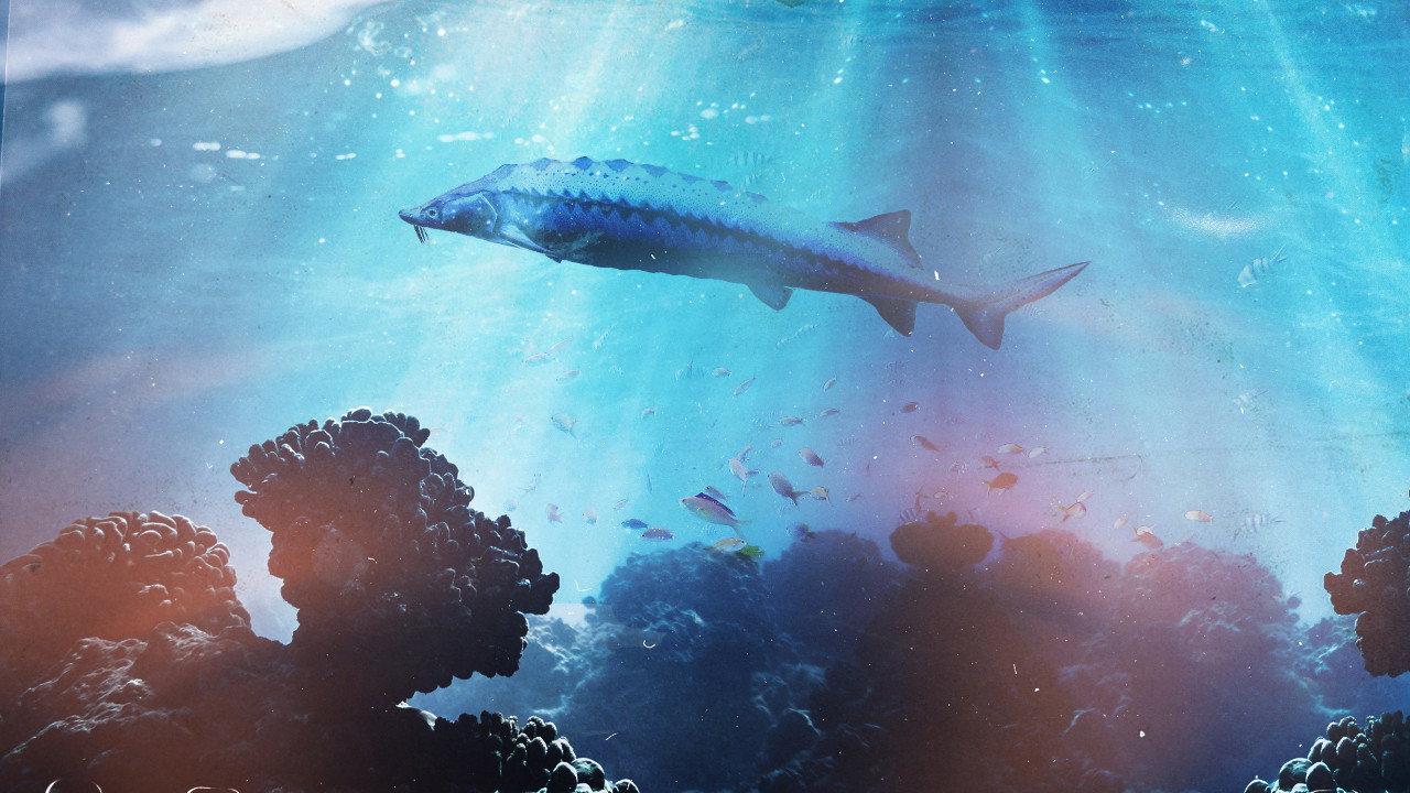 Saving the Dinosaur Fish backdrop