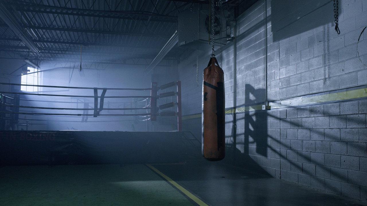 My Fighter backdrop