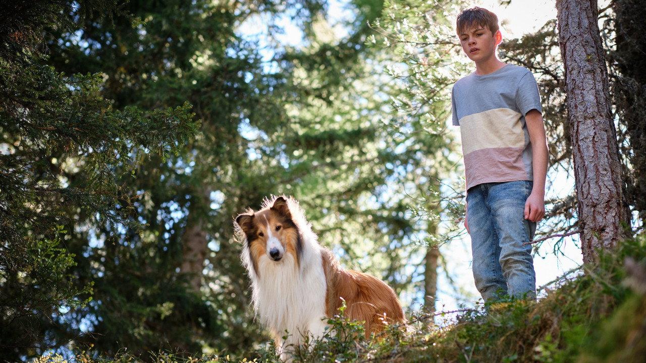 Lassie: A New Adventure backdrop
