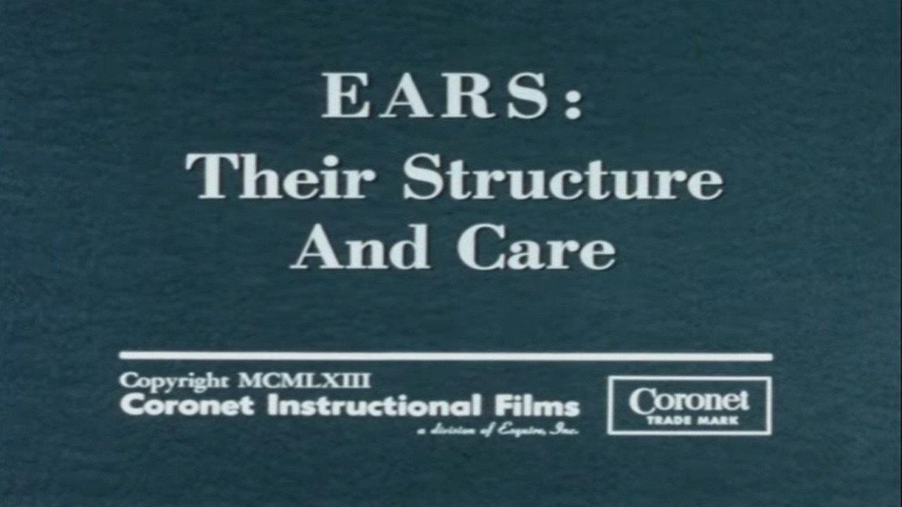 Ears: Their Structure and Care backdrop