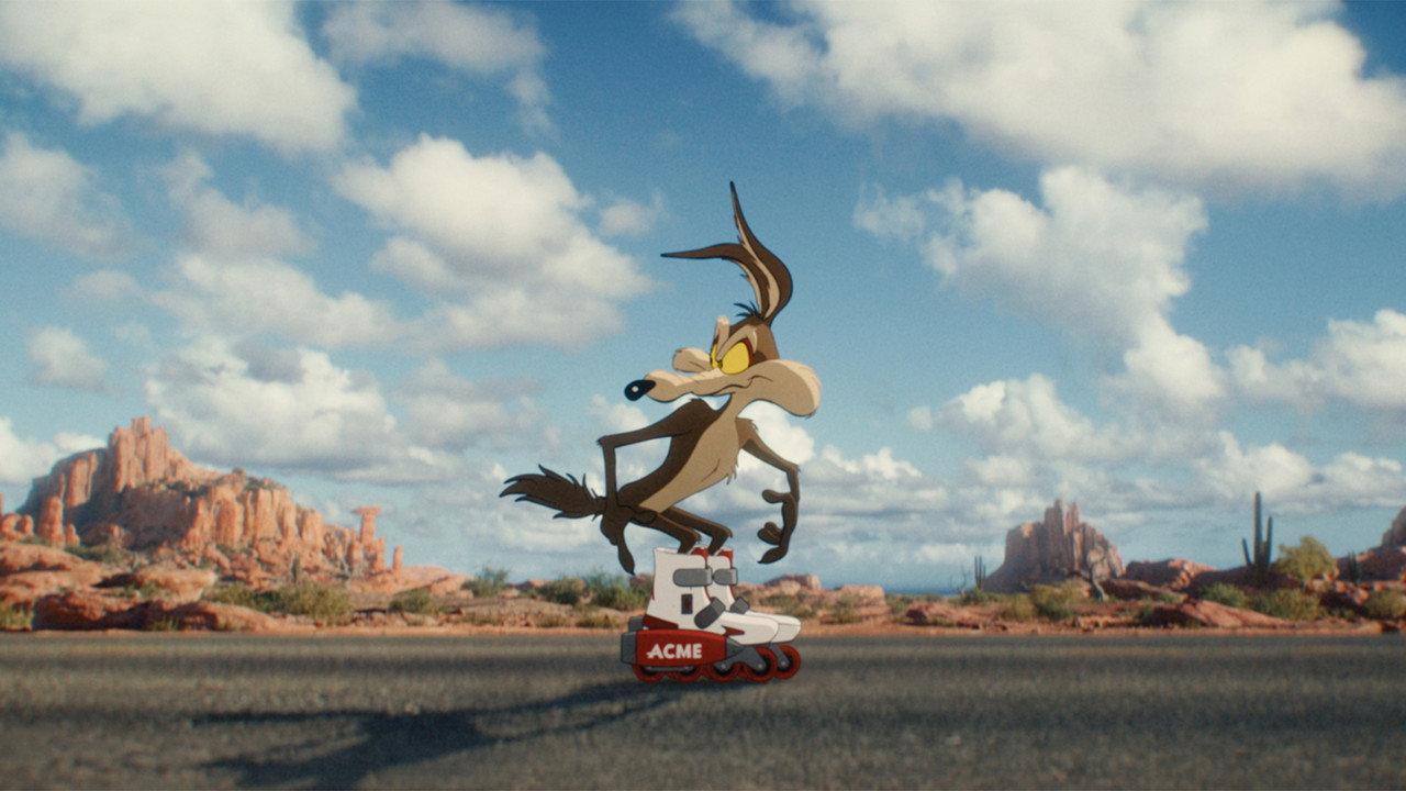 Coyote vs. Acme backdrop