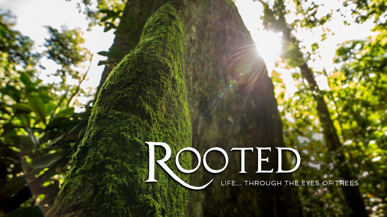 Rooted backdrop