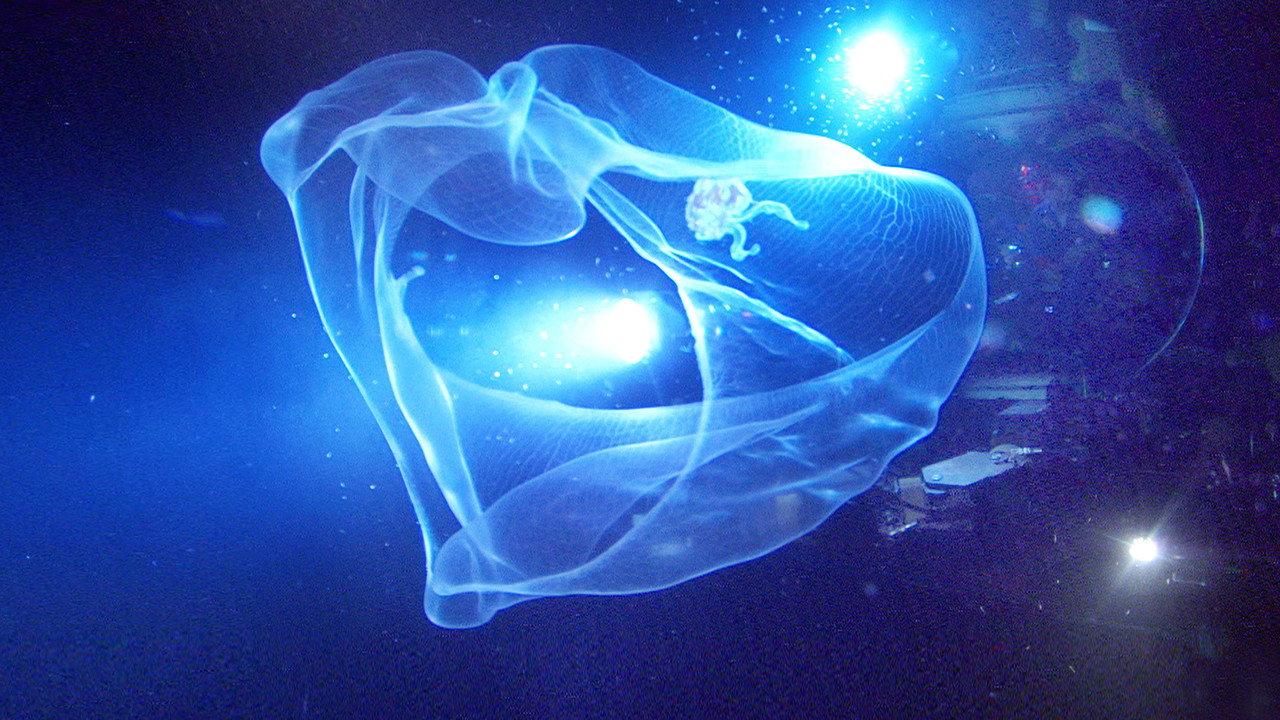Aliens of the Deep backdrop