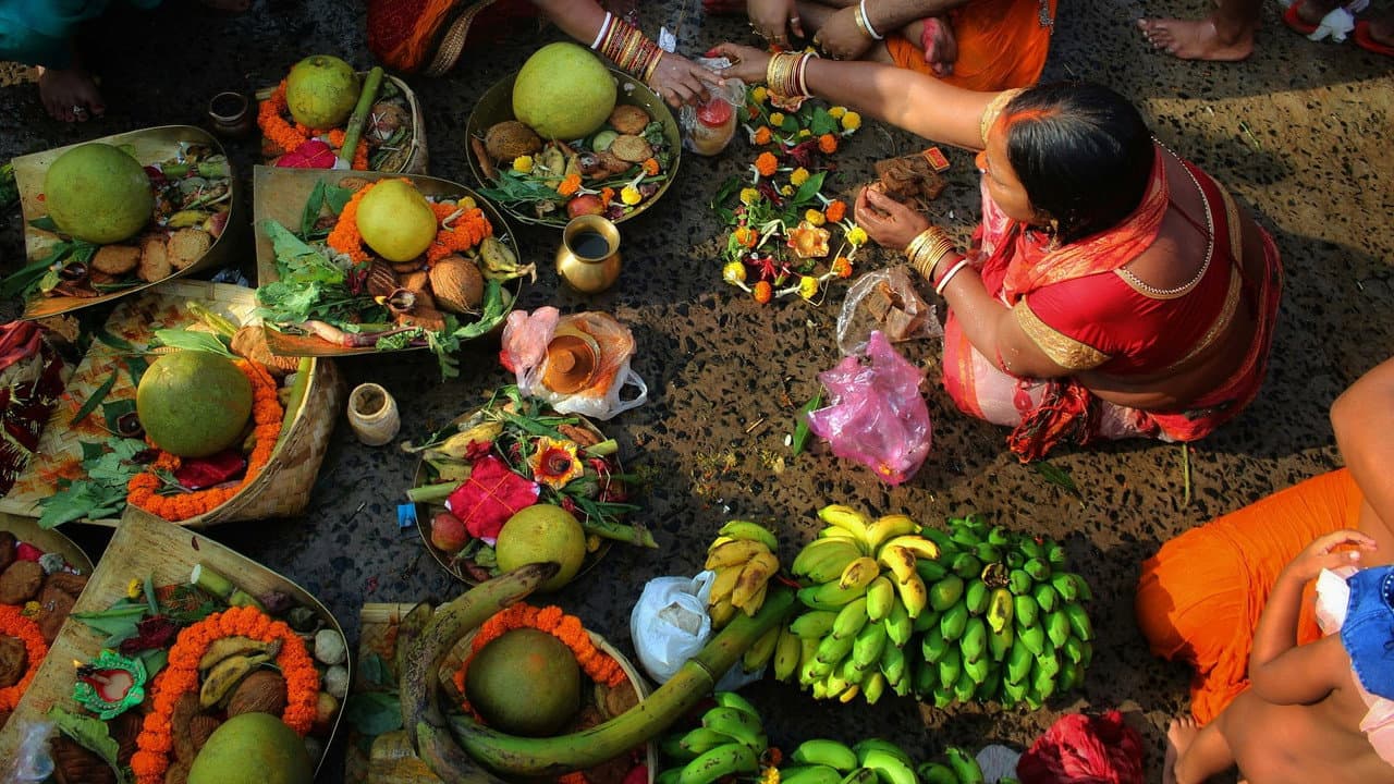 Vegetarians, The Great Odyssey backdrop