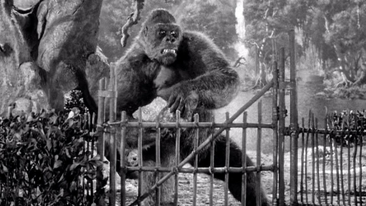 Mighty Joe Young backdrop