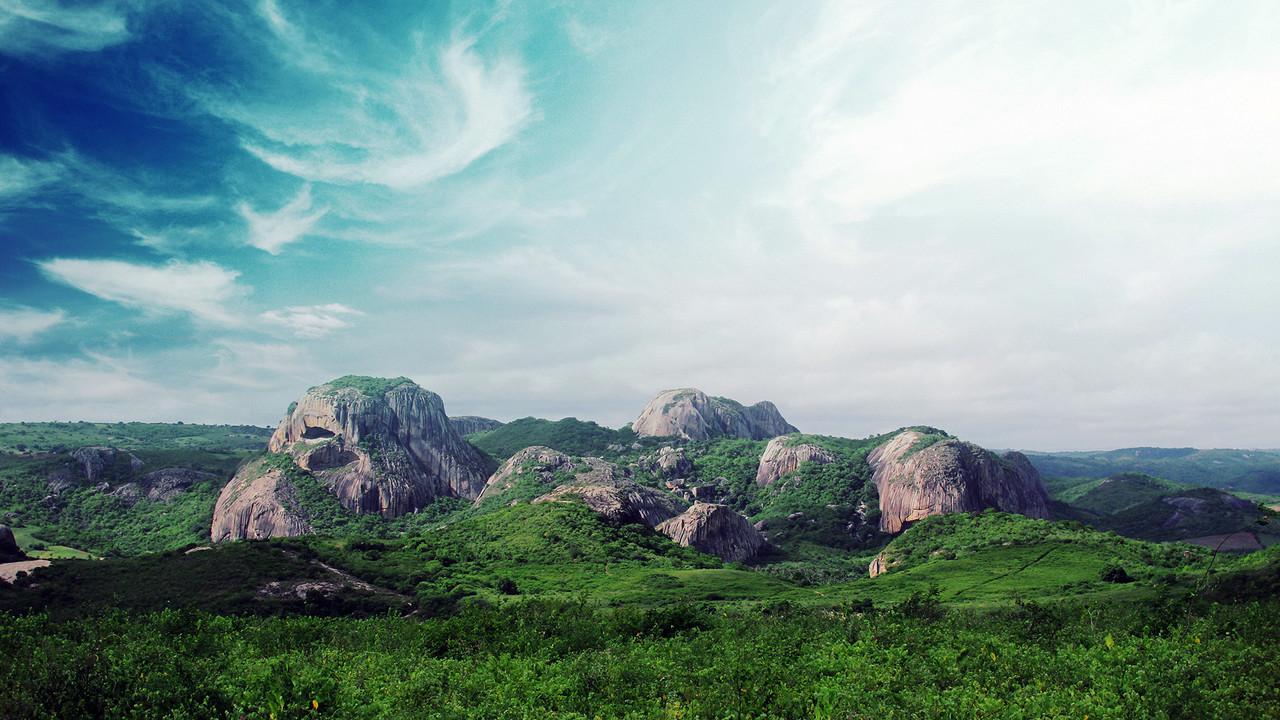 Wild Brazil backdrop