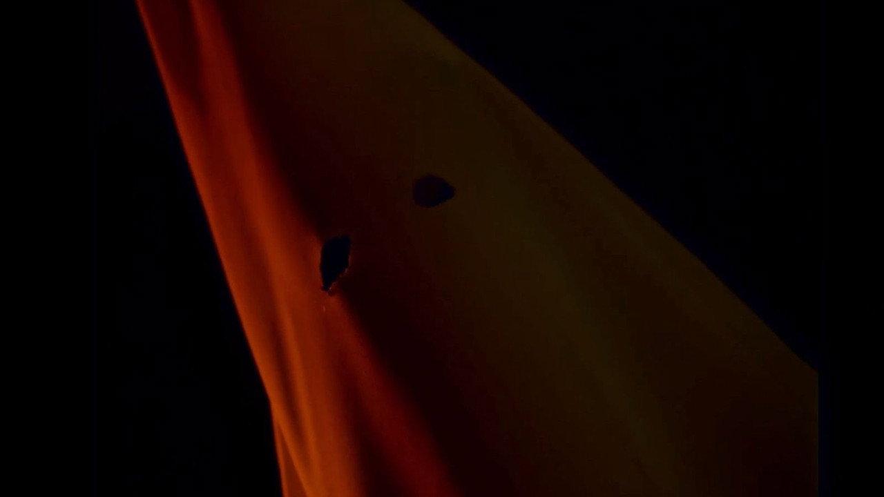 Ara backdrop