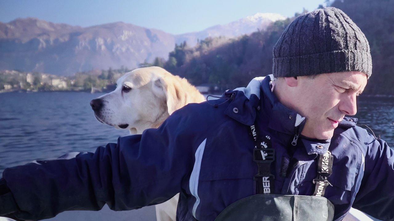 Dogs backdrop