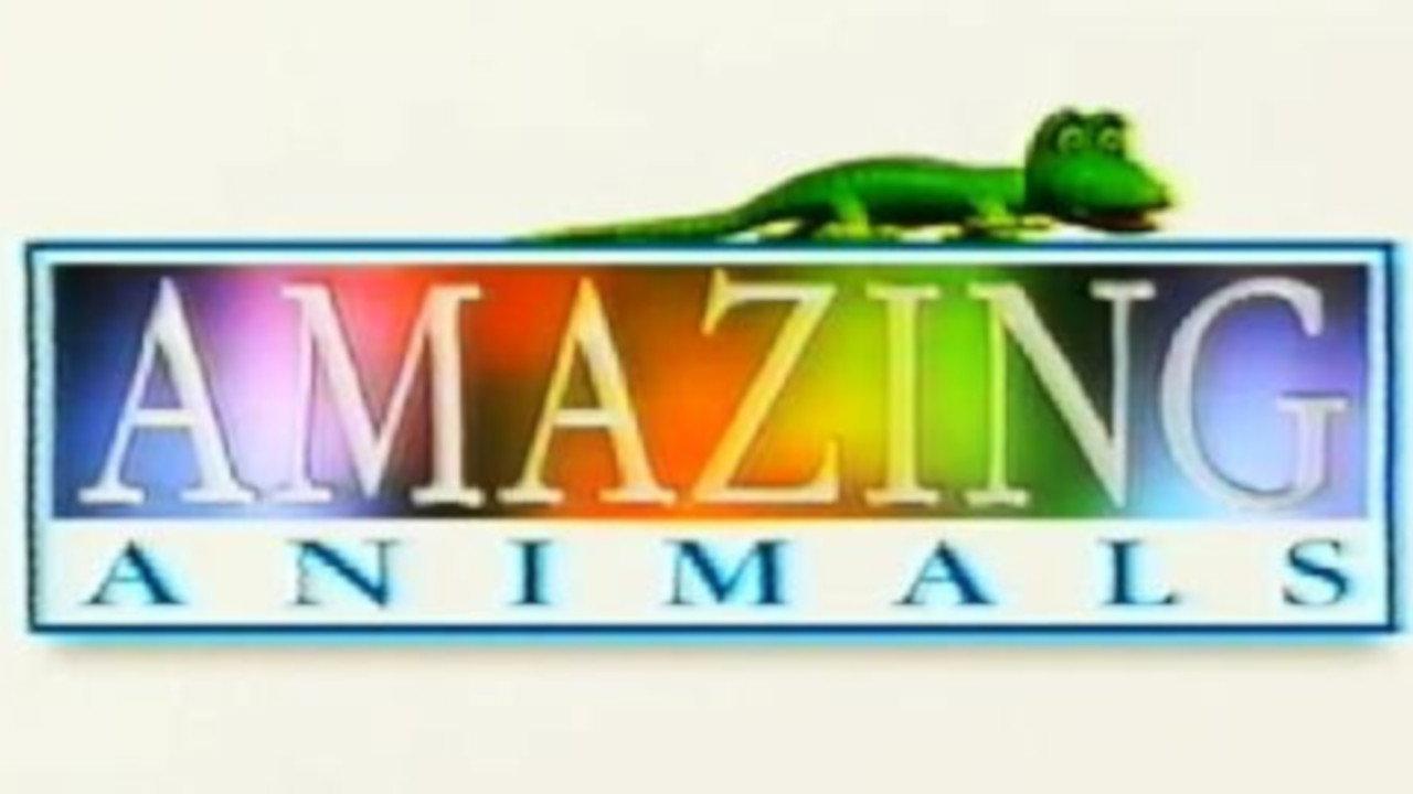 Henry's Amazing Animals backdrop