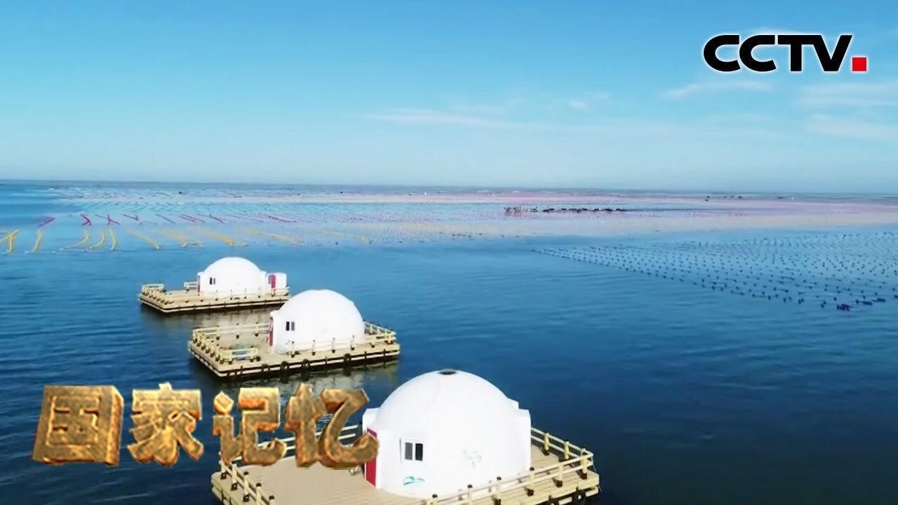 大国粮仓 backdrop