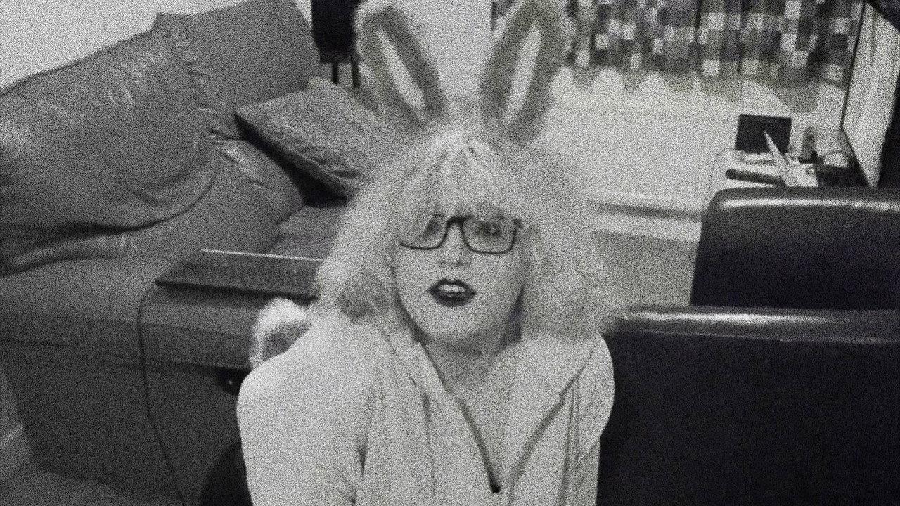 Pet Bunny backdrop