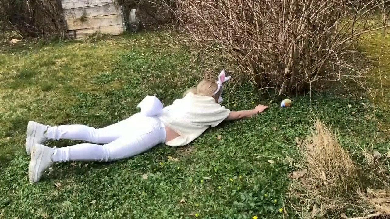 The Easter Bunny backdrop