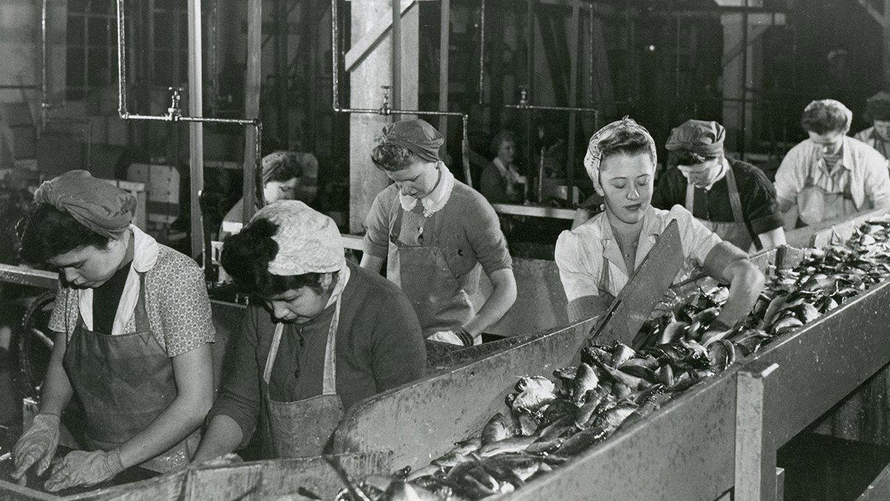 Working People: A History of Labour in British Columbia backdrop