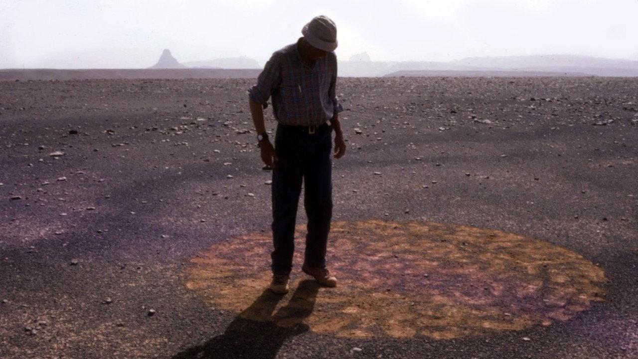 Stones and Flies: Richard Long in the Sahara backdrop