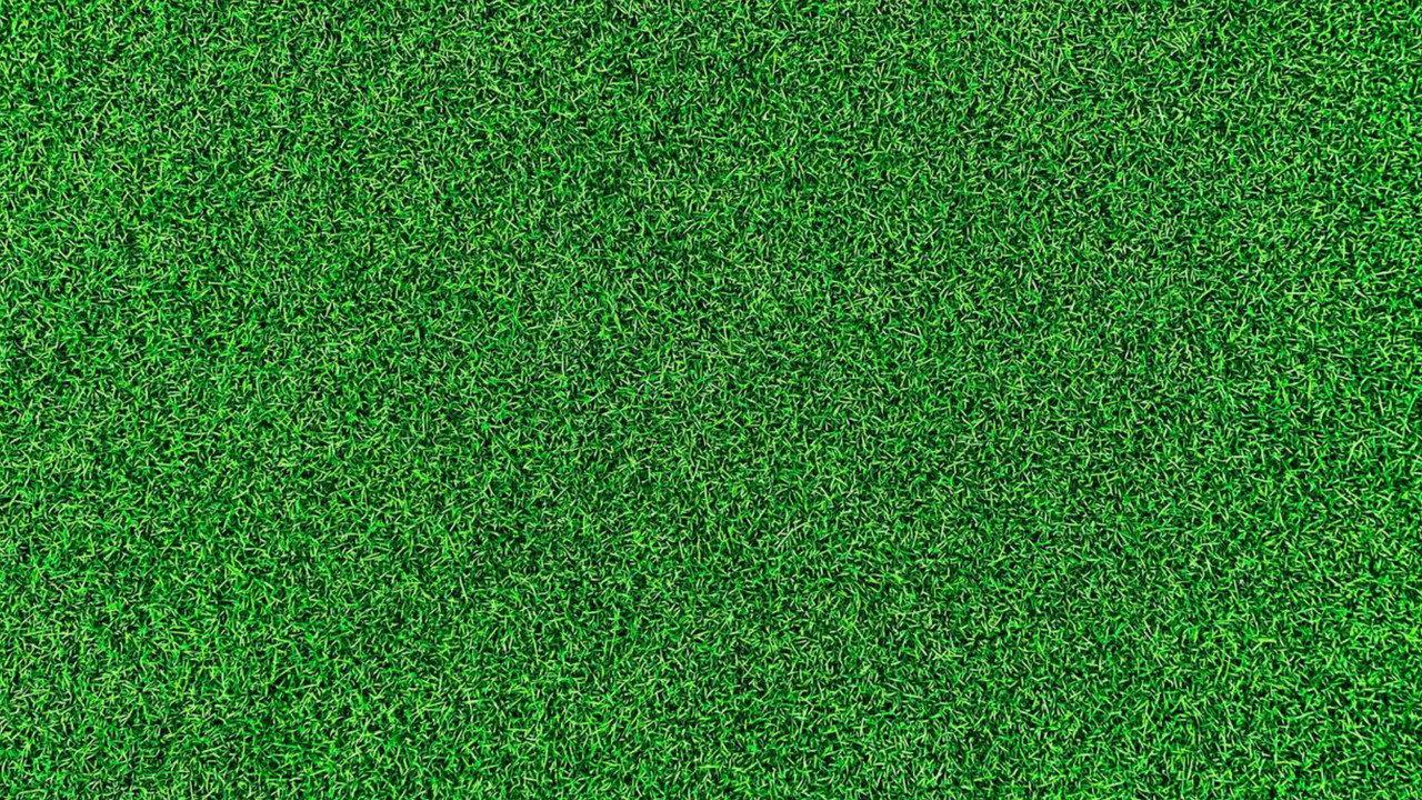 Life on the Green backdrop