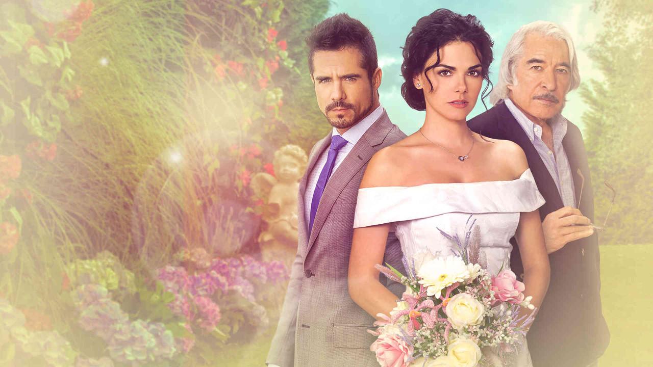 Italian Bride backdrop