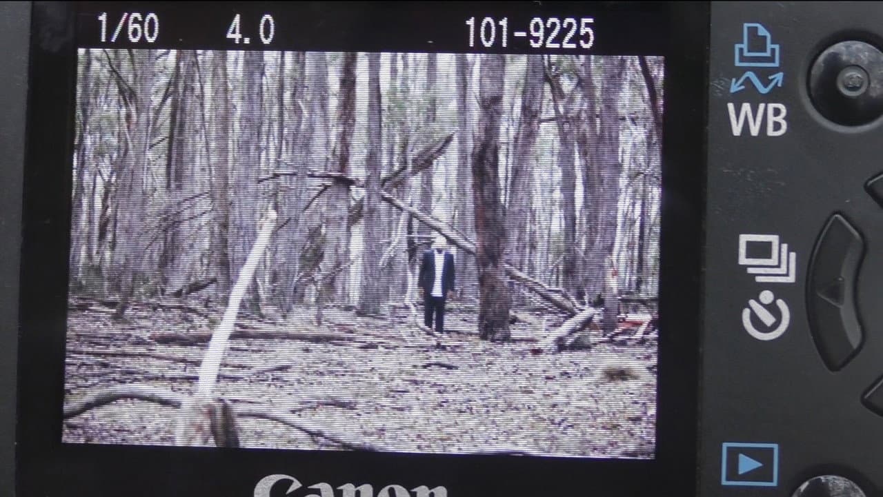 Exposure backdrop