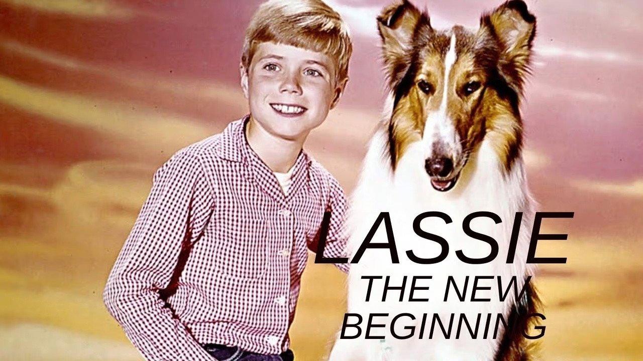 Lassie: The New Beginning backdrop