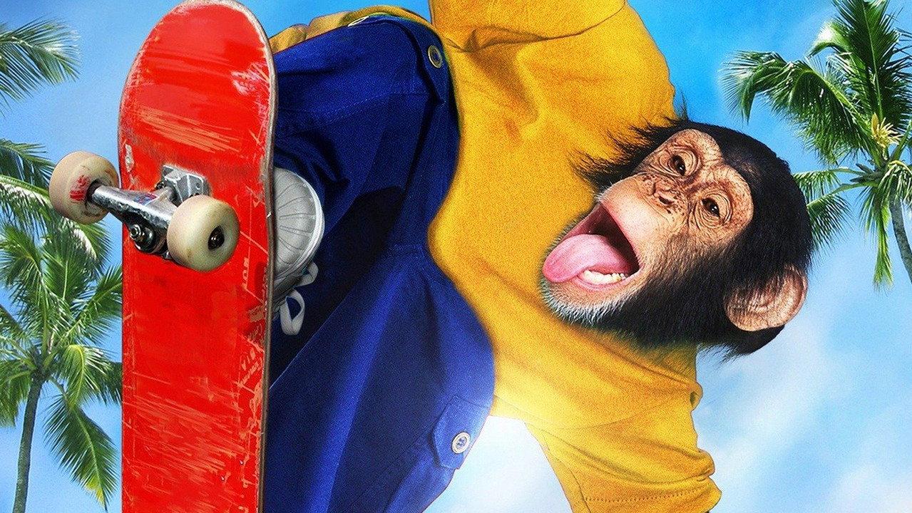 MVP 2: Most Vertical Primate backdrop