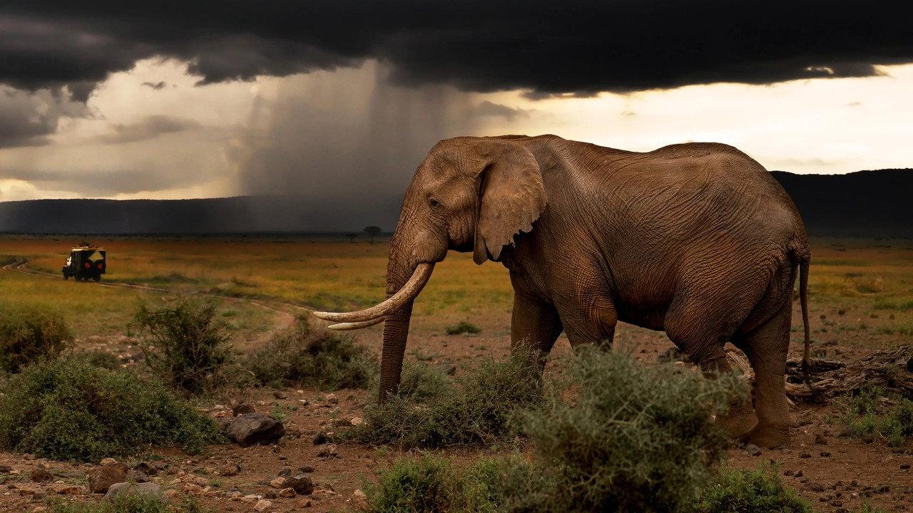 Chasing the Rains backdrop