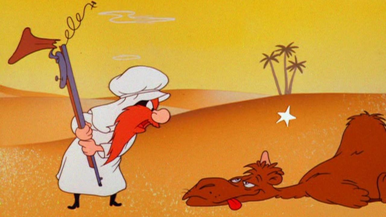Sahara Hare backdrop