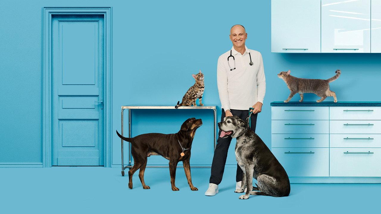 Vie de vet backdrop