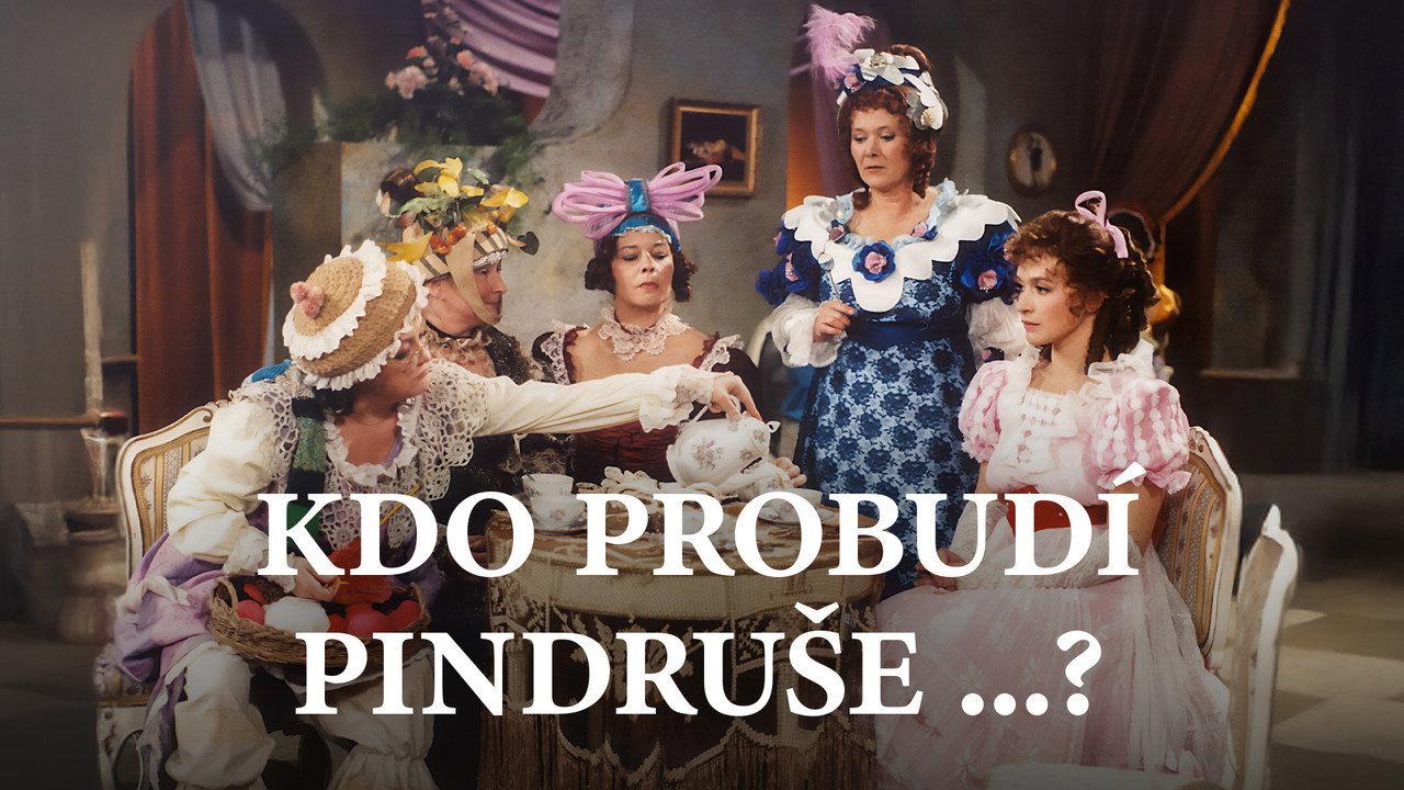 Kdo probudí Pindruše...? backdrop