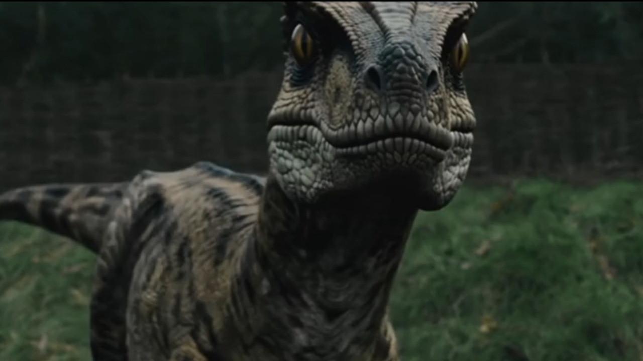 Raptor Attack backdrop