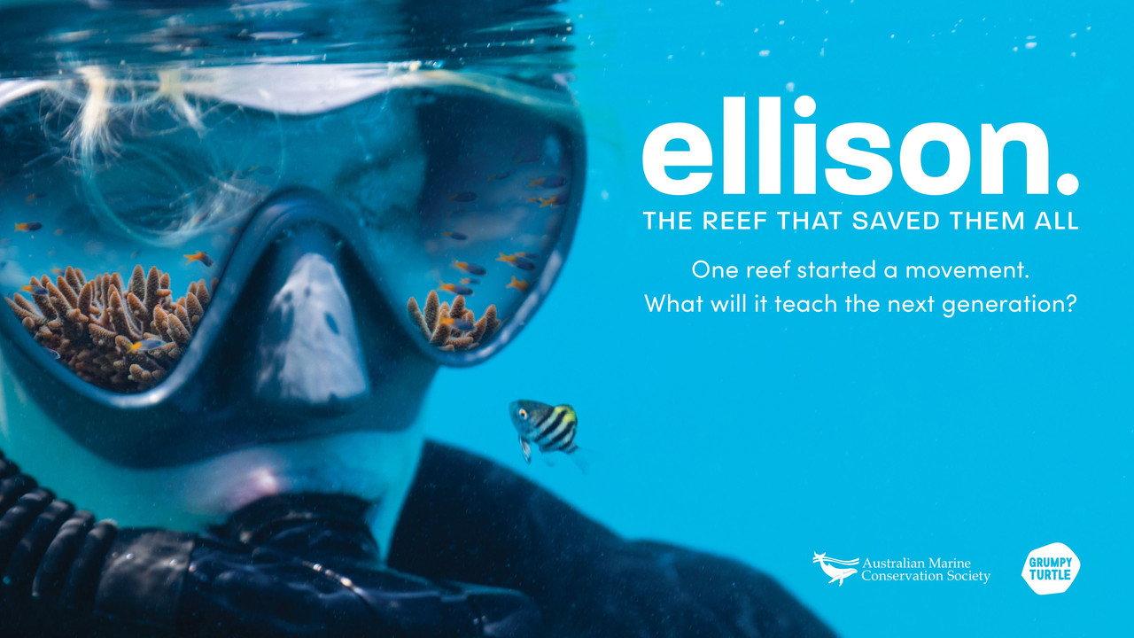 Ellison. The Reef That Saved Them All backdrop