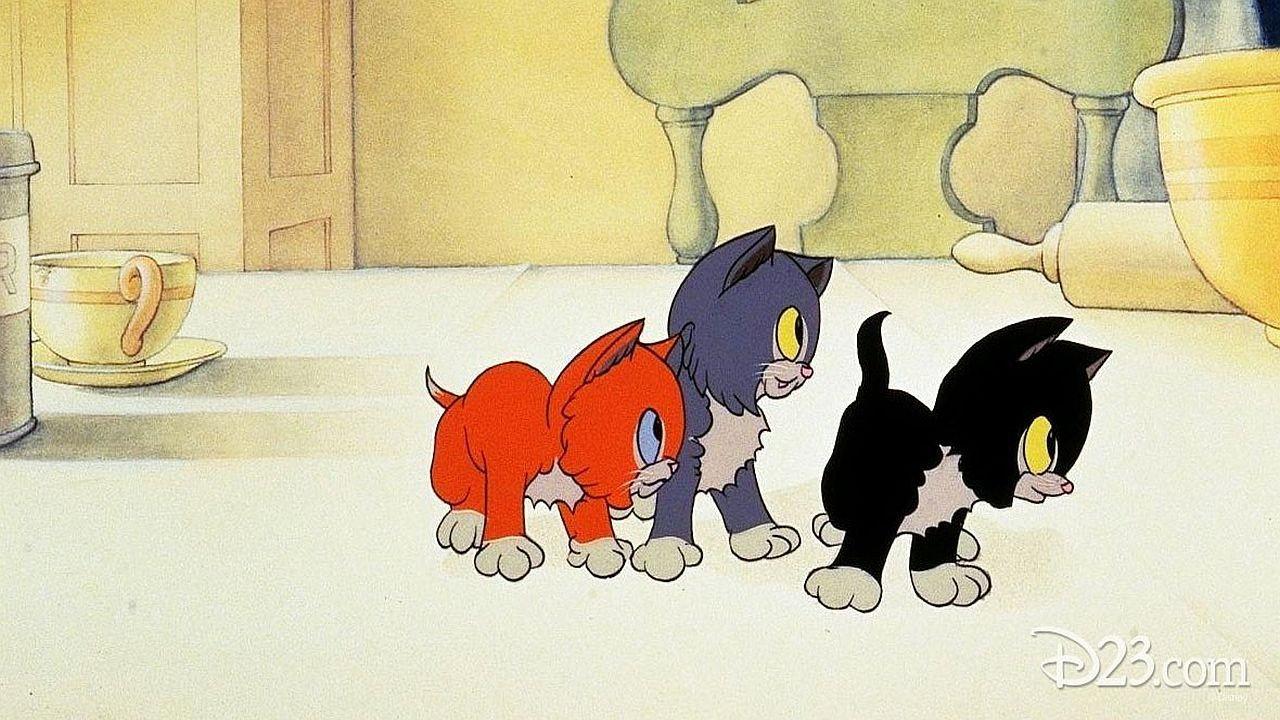 Three Orphan Kittens backdrop