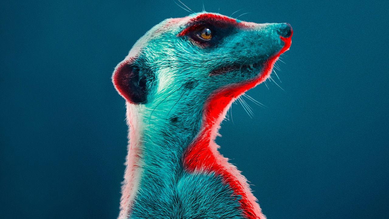 Meerkat Manor: Rise of the Dynasty backdrop