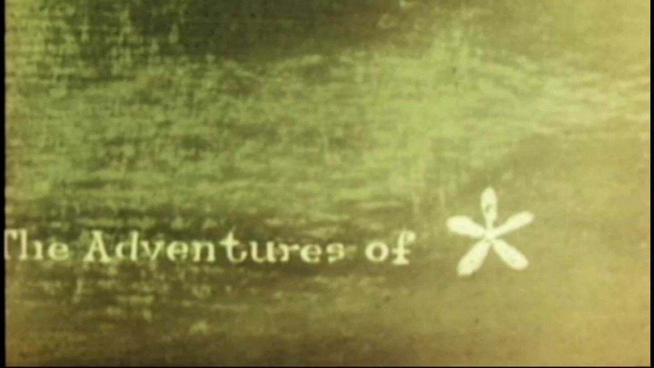 The Adventures of * backdrop
