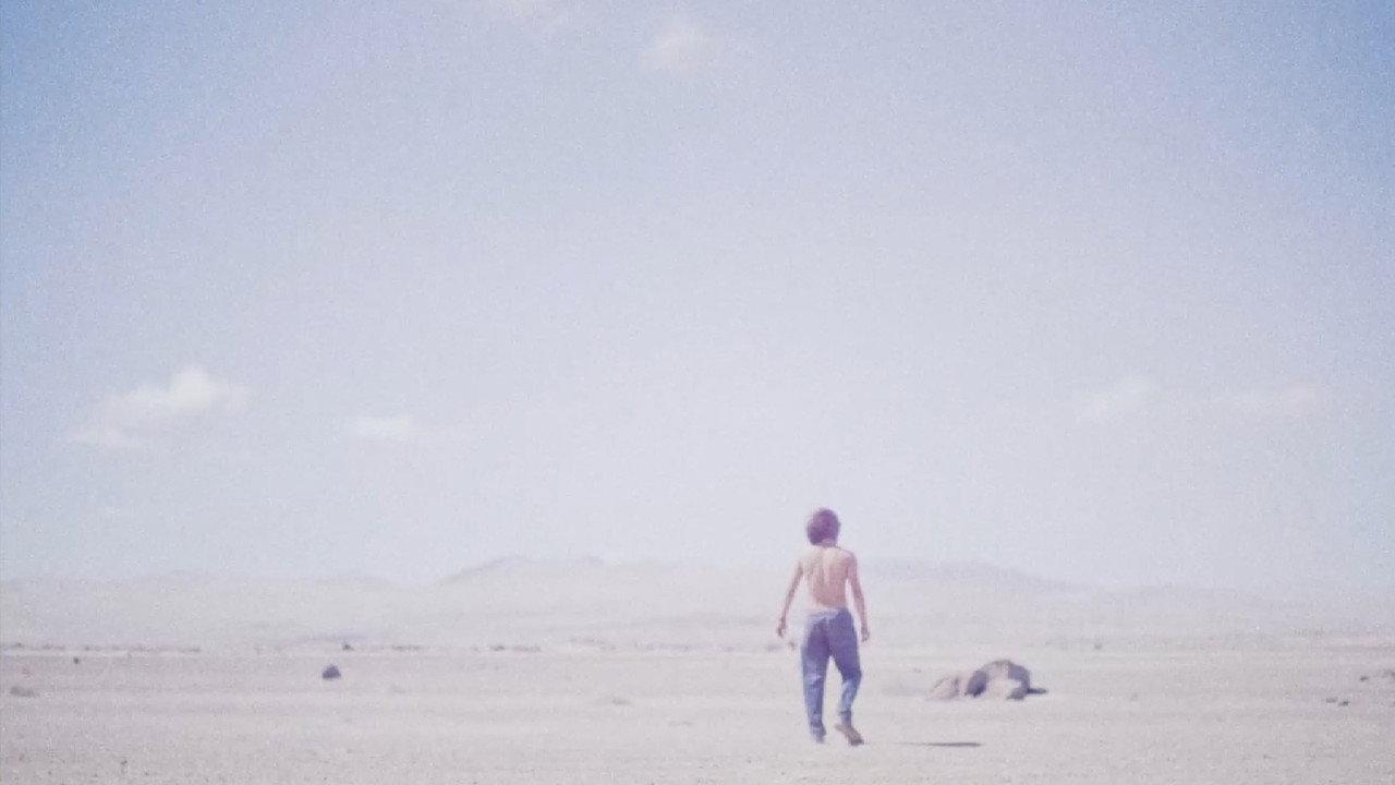 Desierto backdrop