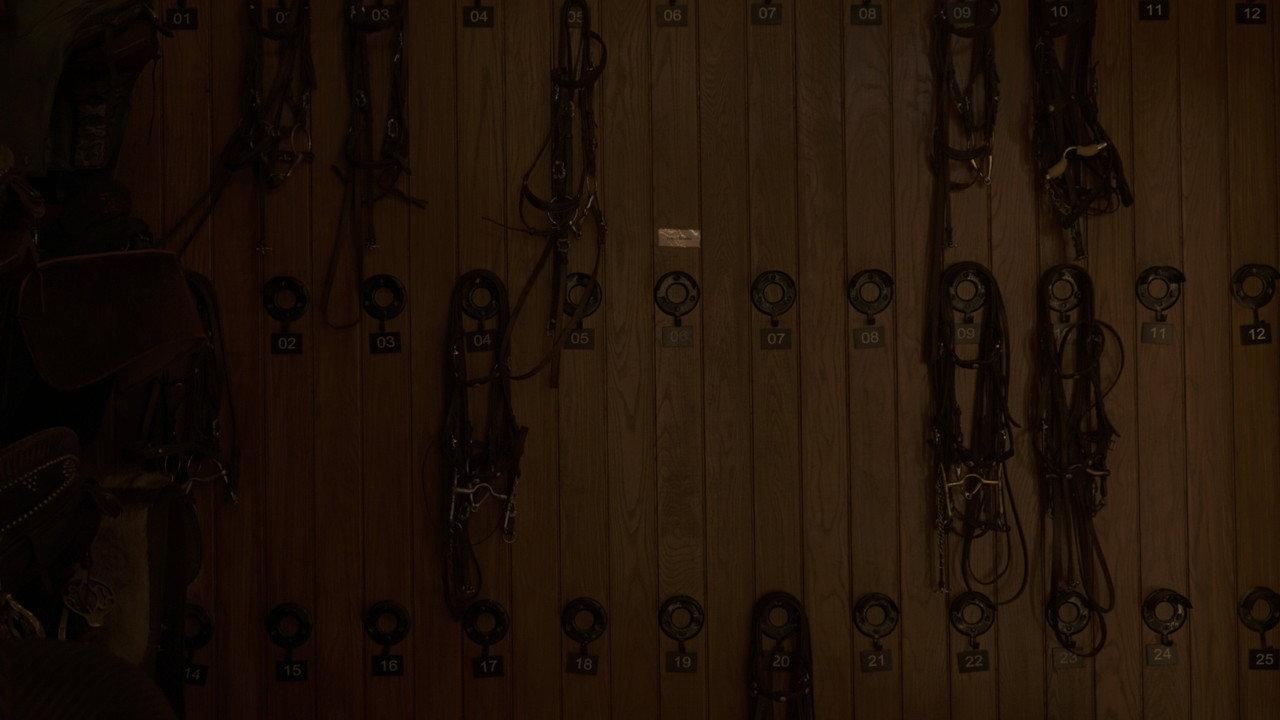Equus Artifex backdrop