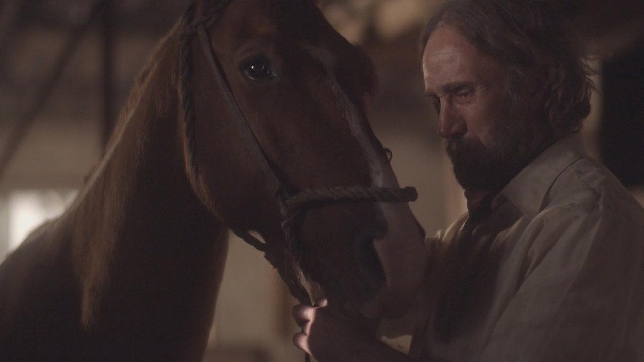 Florêncio Guerra e Seu Cavalo backdrop
