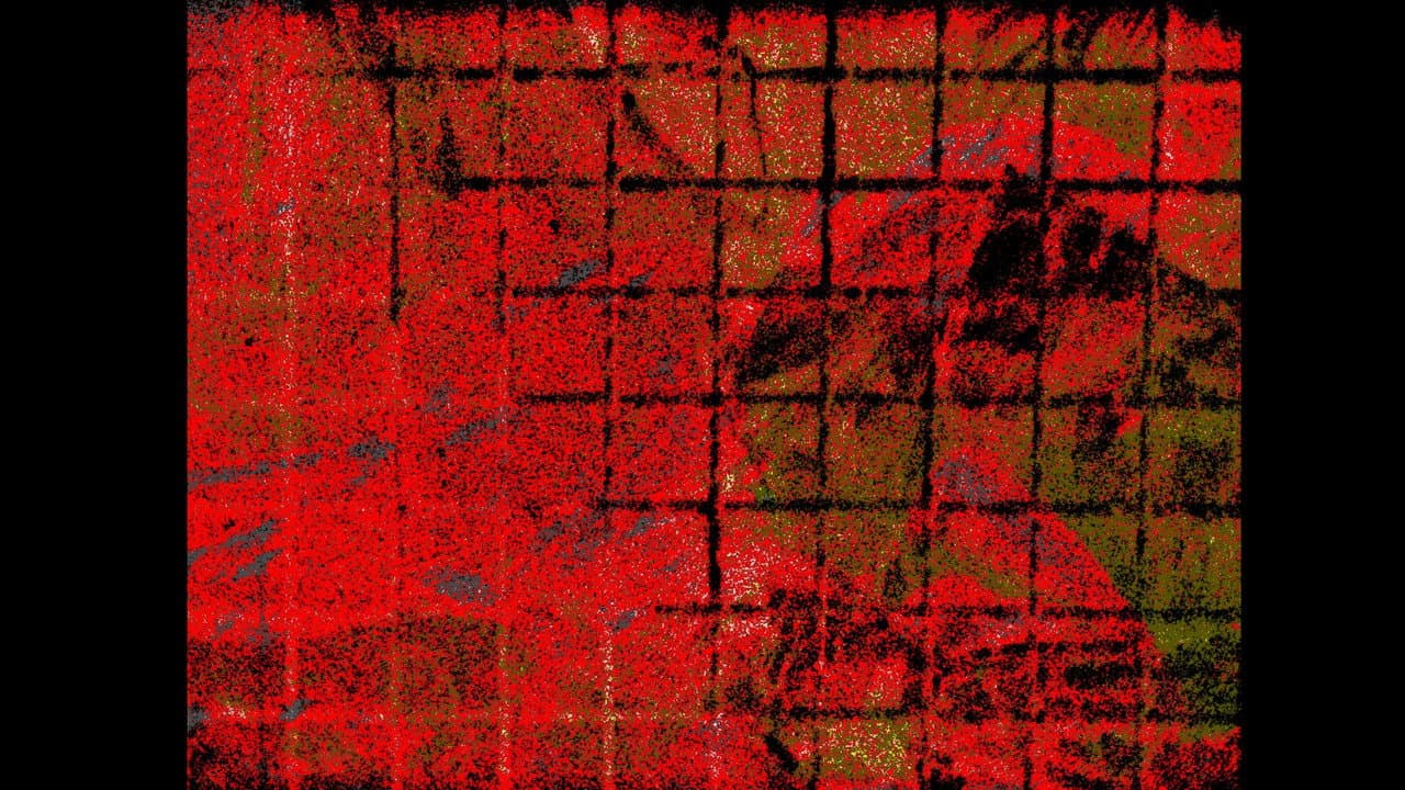 Losing Touch backdrop