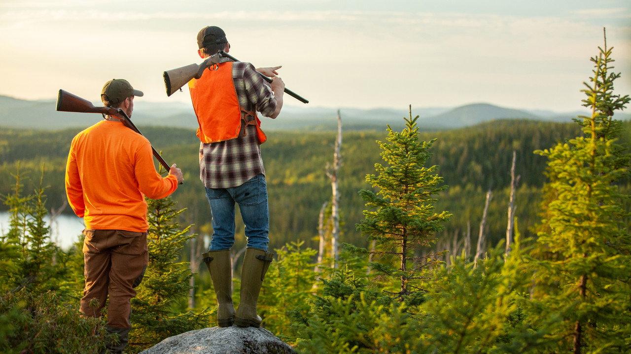 Hooké à la chasse backdrop