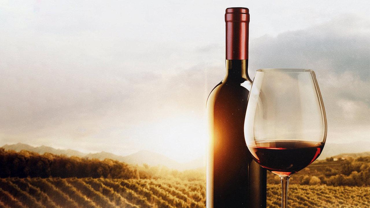 The Mostly Serious History of Wine backdrop