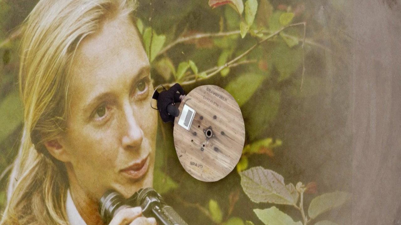 Jane Goodall : Comment sauver les animaux backdrop