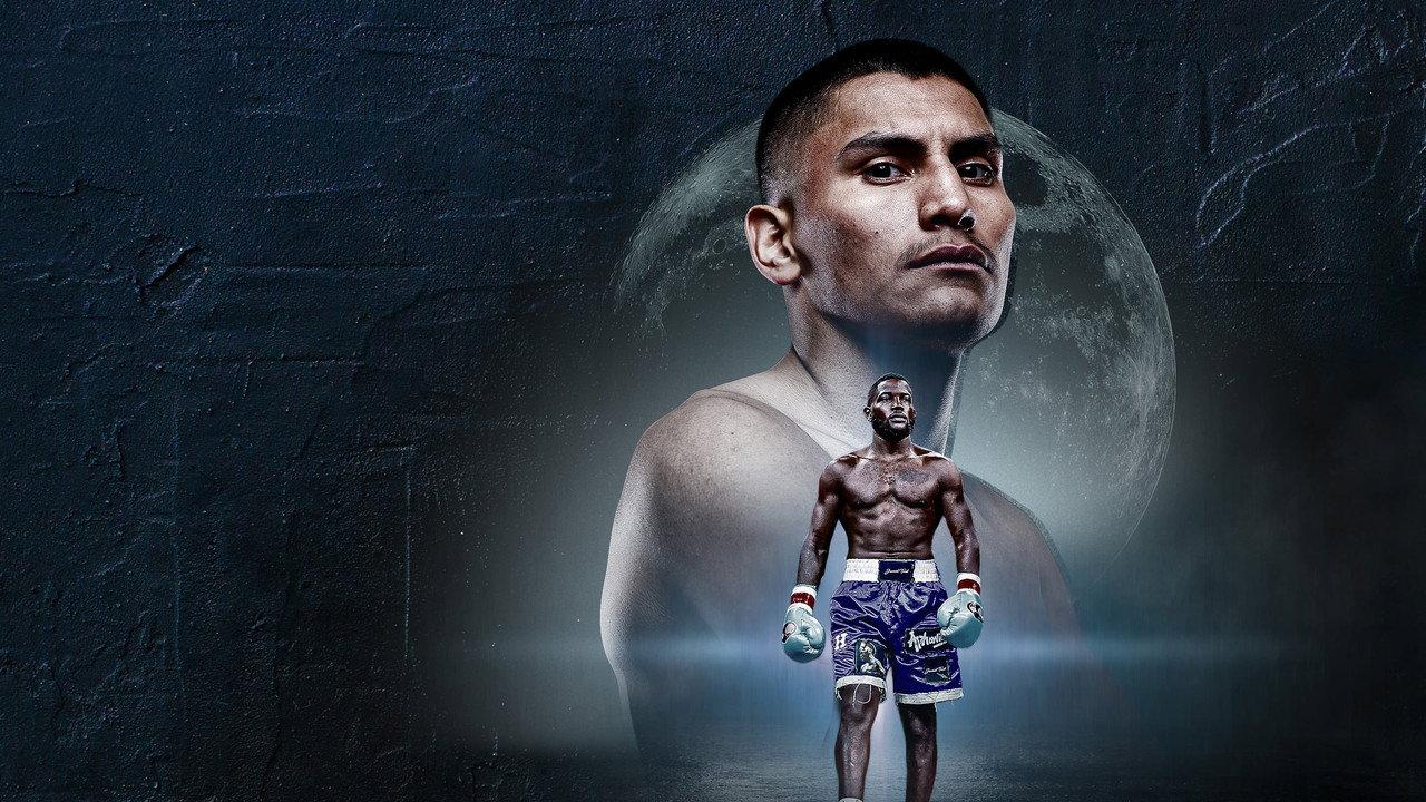 Vergil Ortiz Jr vs. Erickson Lubin backdrop