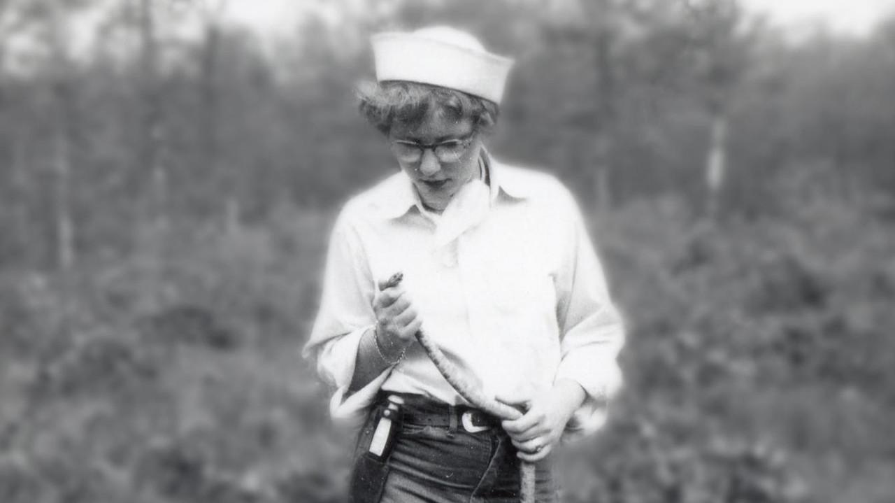 Joanne Martin: A Life in Miniature backdrop