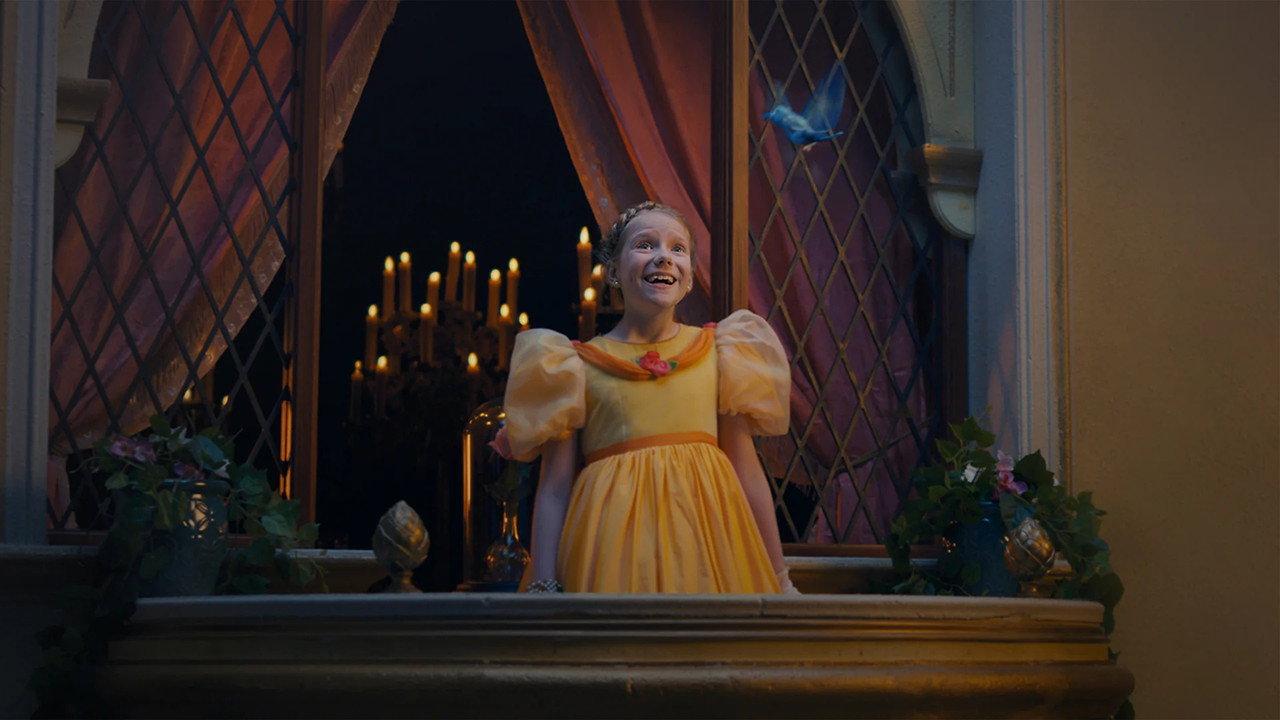 Once a Princess, Always a Princess backdrop